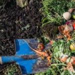 The Soil's Best Friend: Why Proper Organic Waste Disposal is Crucial for Adelaide's Gardens