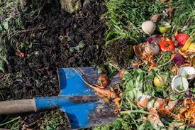 The Soil's Best Friend: Why Proper Organic Waste Disposal is Crucial for Adelaide's Gardens