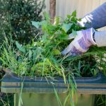 Your Guide to Green Waste Disposal at the Adelaide Waste and Recycling Centre