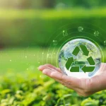 How to Save on Green Waste Recycling Fees