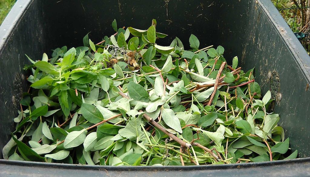 Green waste in a bin