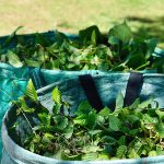 Two baskets containing green waste