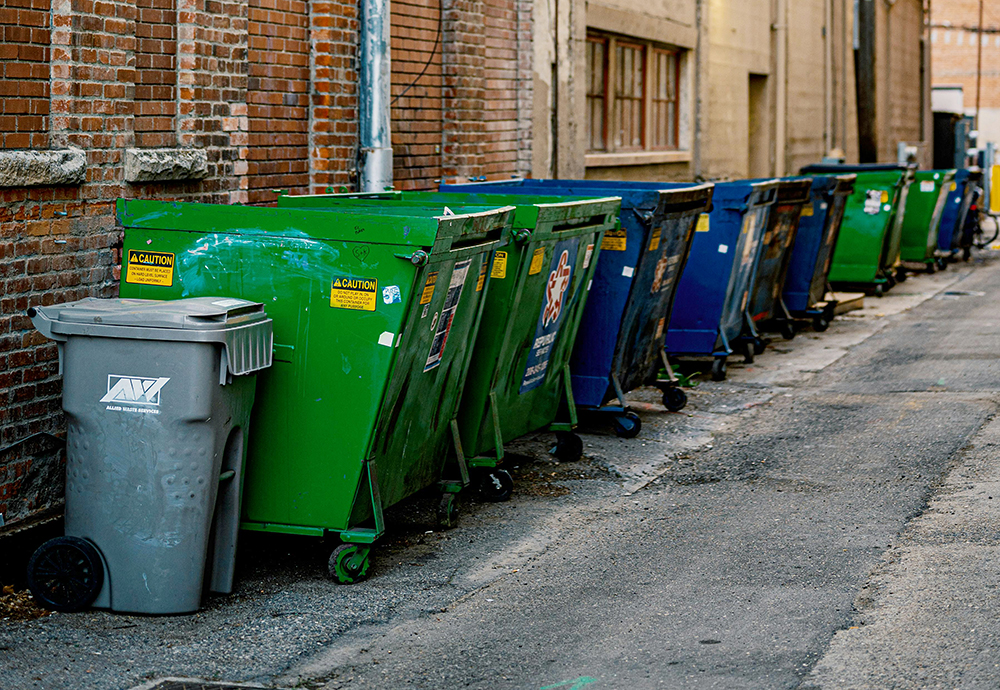 Multiple industrial bins lined up outside some buildings