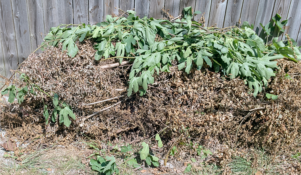 A pile of garden clippings outside against a fence