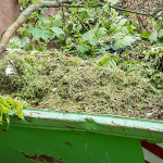 Green skip bin filled with garden waste, including grass clippings, leaves and branches.